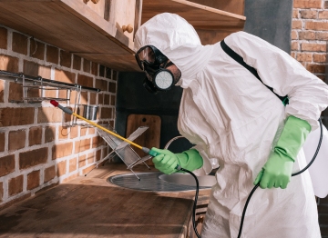 termites control services in Washington