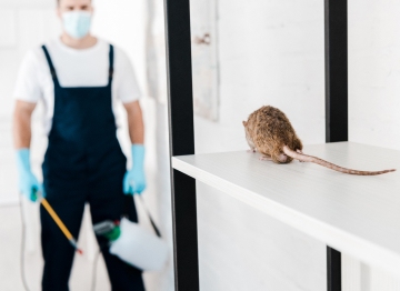 Rodent control services for residential and commercial