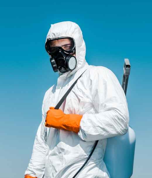 Professional pest exterminator of Washington pest pros